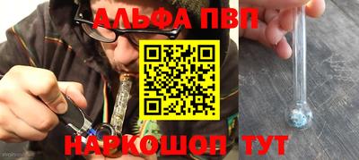 гидра Будённовск