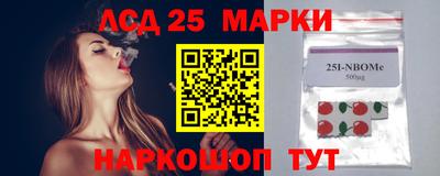 гидра Будённовск