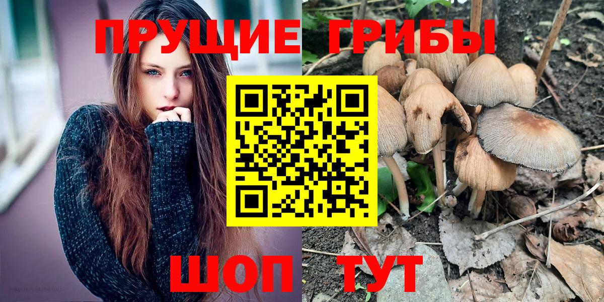 Псилоцибиновые грибы ЛСД Красноуфимск