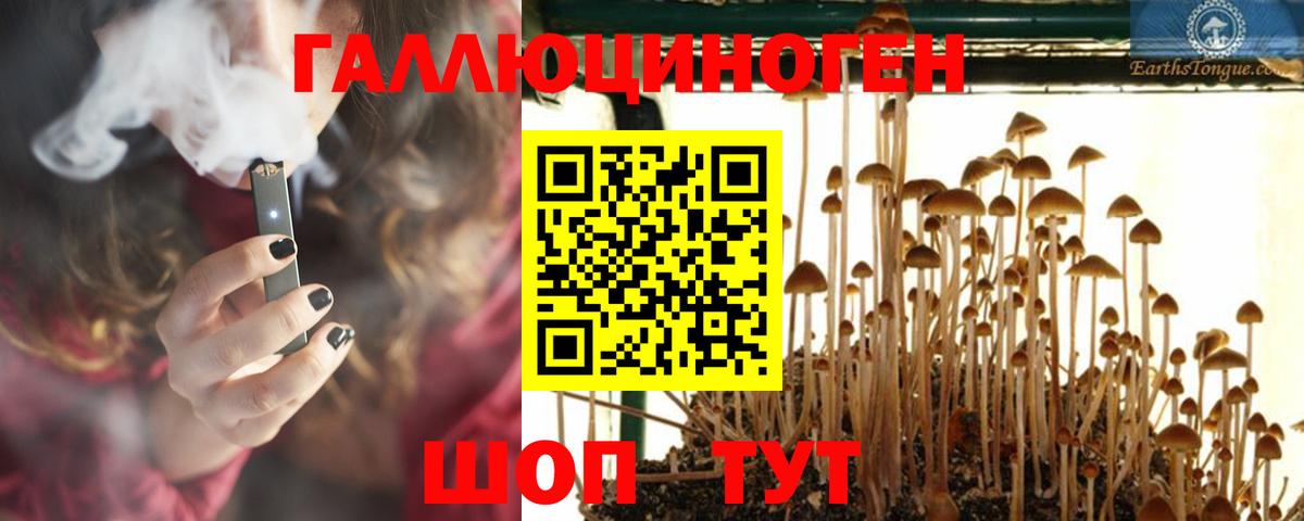 Красноуфимск  Псилоцибиновые грибы MAGIC MUSHROOMS  Вход с VPN 